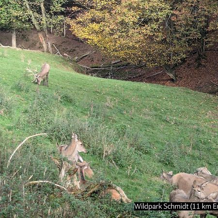 Eifel-Ferienhaus Landblick Hurtgenwald Екстер'єр фото