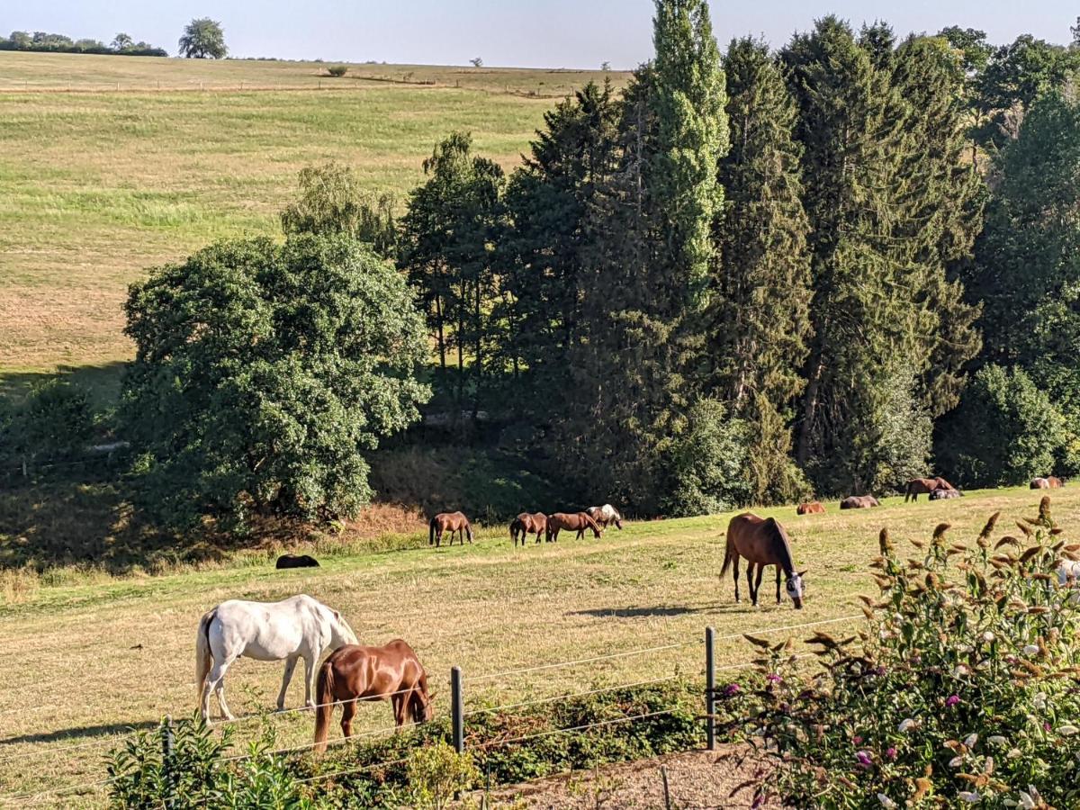 Eifel-Ferienhaus Landblick Hurtgenwald Екстер'єр фото